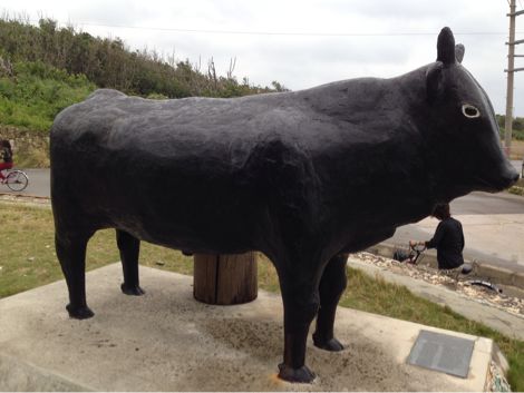 黒島のフェリー乗り場前の牛のアート